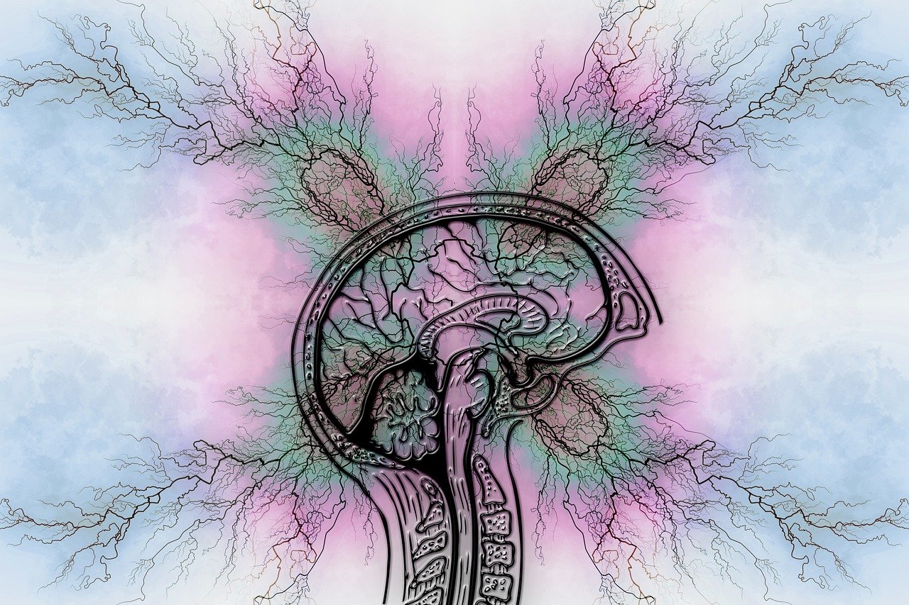 Featured Image